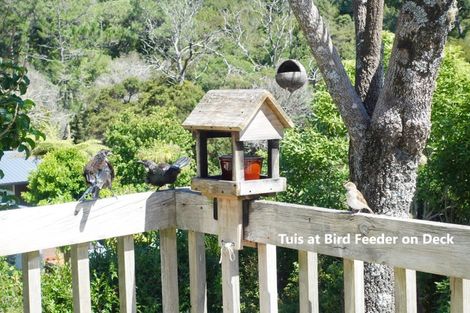 Photo of property in 1/163 Balmain Road, Birkenhead, Auckland, 0626