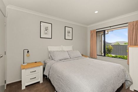 Photo of property in 53 Russell Robertson Drive, Havelock North, 4130