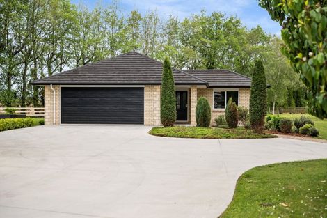 Photo of property in 29 Sheffield Street, Matamata, 3400