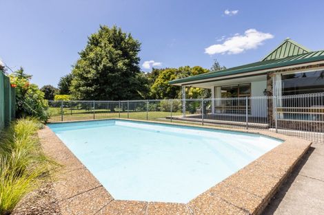 Photo of property in 611 York Street, Mahora, Hastings, 4120