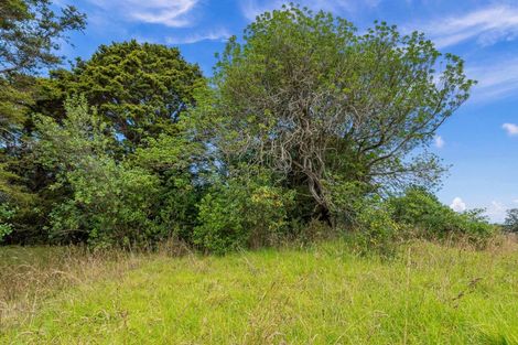 Photo of property in 88 Te Rongo Road, Parua Bay, 0174