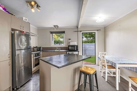 Photo of property in 13a Manse Street, Hampstead, Ashburton, 7700