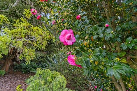 Photo of property in 8 Ngatai Street, Te Kuiti, 3910