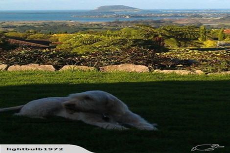 Photo of property in 261b Minden Road, Minden, Tauranga, 3176