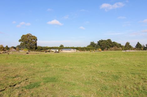 Photo of property in 1 Ruane Street, Glenavy, Waimate, 7980