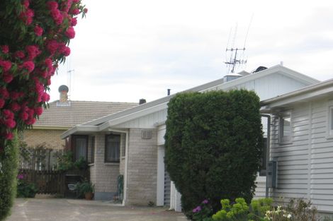 Photo of property in 67a Paine Street, Judea, Tauranga, 3110