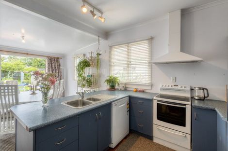 Photo of property in 14 Downe Street, New Plymouth, 4310