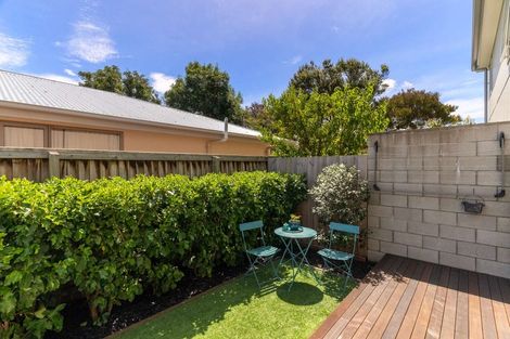 Photo of property in 5 Ettrick Lane, Richmond, Christchurch, 8013