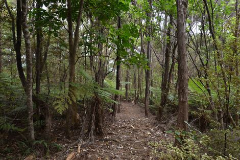 Photo of property in 43 Tahunatapu Road, Parua Bay, Whangarei, 0174