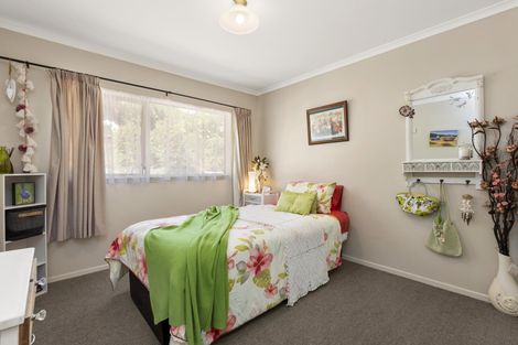 Photo of property in 19 Violet Street, Raglan, 3225