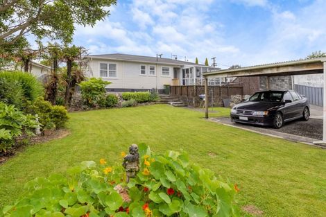 Photo of property in 41 Read Street, Levin, 5510