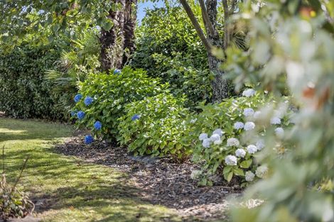 Photo of property in 80 South Belt, Solway, Masterton, 5810