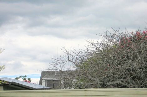 Photo of property in 11 Wiremu Street, Brookfield, Tauranga, 3110