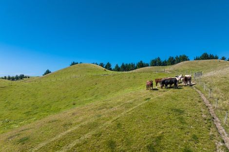 Photo of property in 363 Caseys Road, Lake Grassmere, Seddon, 7285