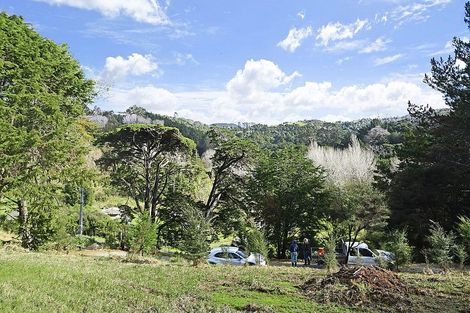 Photo of property in 99 Birdsall Road, Whangateau, Warkworth, 0985