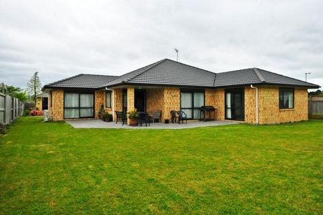 Photo of property in 111 Barrington Drive, Huntington, Hamilton, 3210