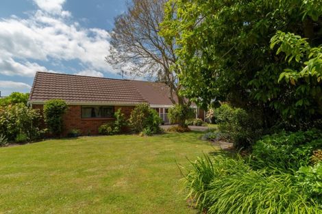 Photo of property in 58 Links View Drive, Omokoroa, 3114