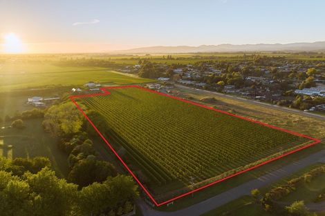 Photo of property in 5 Brook Street, Renwick, 7204