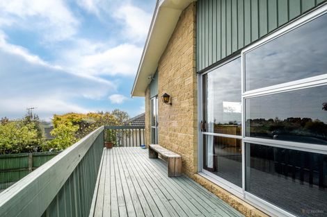 Photo of property in 45 Old North Road, Marchwiel, Timaru, 7910