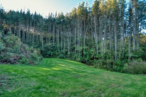 Photo of property in 299c Whakamarama Road, Whakamarama, 3179