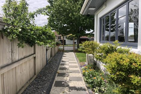 Photo of property in 21 Steele Road, Forest Lake, Hamilton, 3200