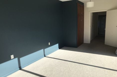 Photo of property in 56 Birdwood Avenue, Beckenham, Christchurch, 8023