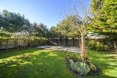 Photo of property in 121 Wyndham Street, Ashhurst, 4810