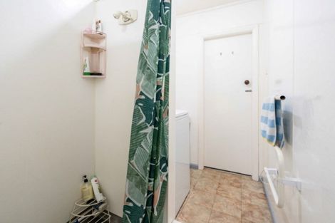 Photo of property in 41a Garfield Avenue, Roslyn, Dunedin, 9010