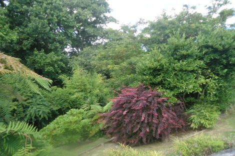 Photo of property in 24 Ruru Crescent, Putaruru, 3411