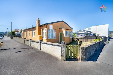 Photo of property in 217 The Esplanade, Petone, Lower Hutt, 5012