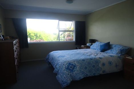 Photo of property in 17 Anderson Street, Putaruru, 3411