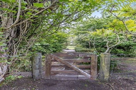 Photo of property in 91 Island Road, Kaiapoi, 7691