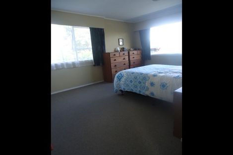Photo of property in 17 Anderson Street, Putaruru, 3411