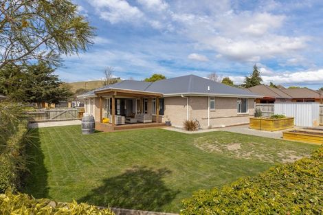 Photo of property in 142 Taylor Pass Road, Witherlea, Blenheim, 7201