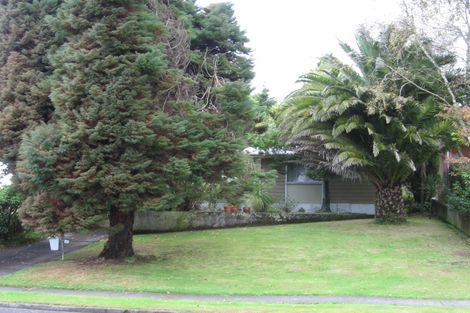 Photo of property in 45 Kauri Street, Tokoroa, 3420
