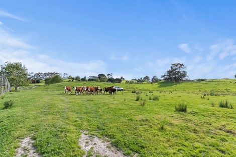 Photo of property in 132b Gatfield Road, Kaukapakapa, 0873