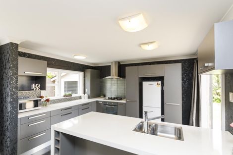 Photo of property in 308 Ferguson Street, Palmerston North, 4410