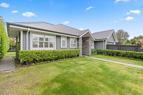 Photo of property in 95 Office Road, Merivale, Christchurch, 8014