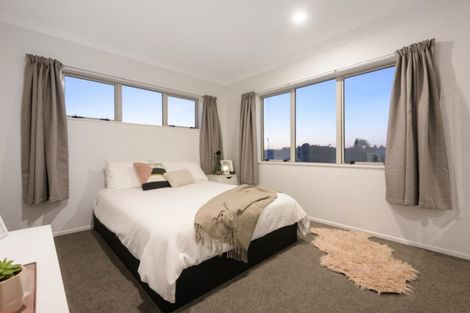 Photo of property in 45b Campbell Road, Mount Maunganui, 3116