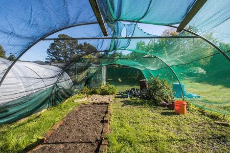 Photo of property in 319 Busby Road, Tahawai, Katikati, 3170