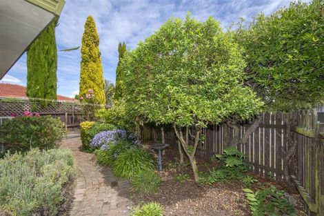 Photo of property in 1/54 Sapphire Street, Casebrook, Christchurch, 8051