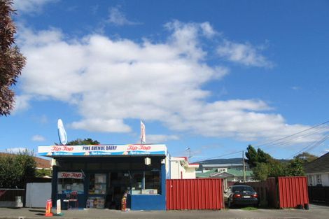 Photo of property in 63 Pine Avenue, Ebdentown, Upper Hutt, 5018