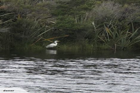 Photo of property in 6 The Strand, Okarito, Whataroa, 7886