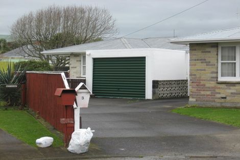 Photo of property in 3 Alice Place, Levin, 5510