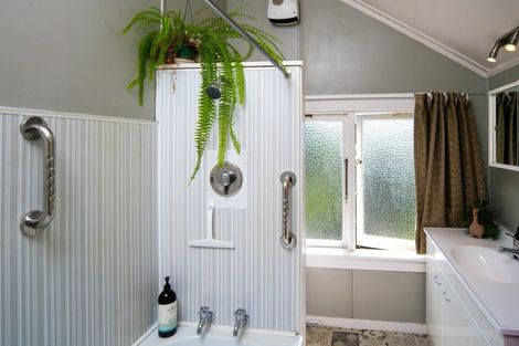 Photo of property in 36 Sandringham Street, Saint Clair, Dunedin, 9012