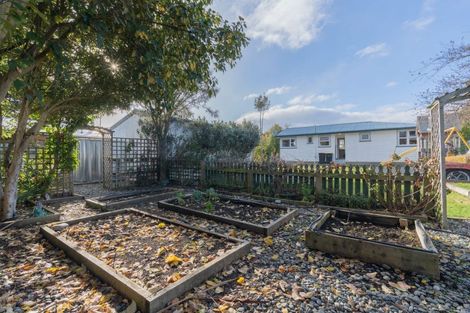 Photo of property in 44 Mackinnon Loop, Te Anau, 9600