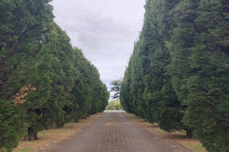 Photo of property in 2/66 Buscomb Avenue, Henderson, Auckland, 0610