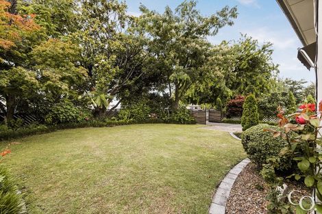 Photo of property in 904 Frederick Street West, Mahora, Hastings, 4120