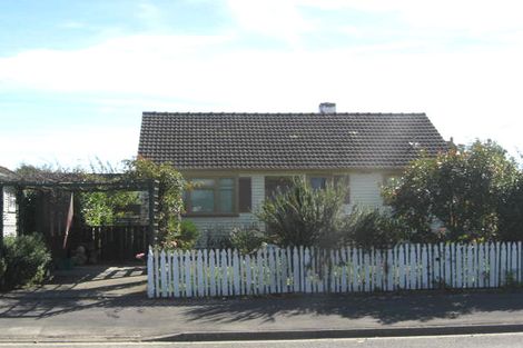 Photo of property in 31 Willow Street, Hampstead, Ashburton, 7700