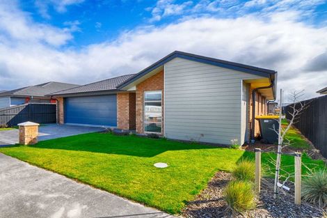 Photo of property in 41 Maclaren Road, Wigram, Christchurch, 8042